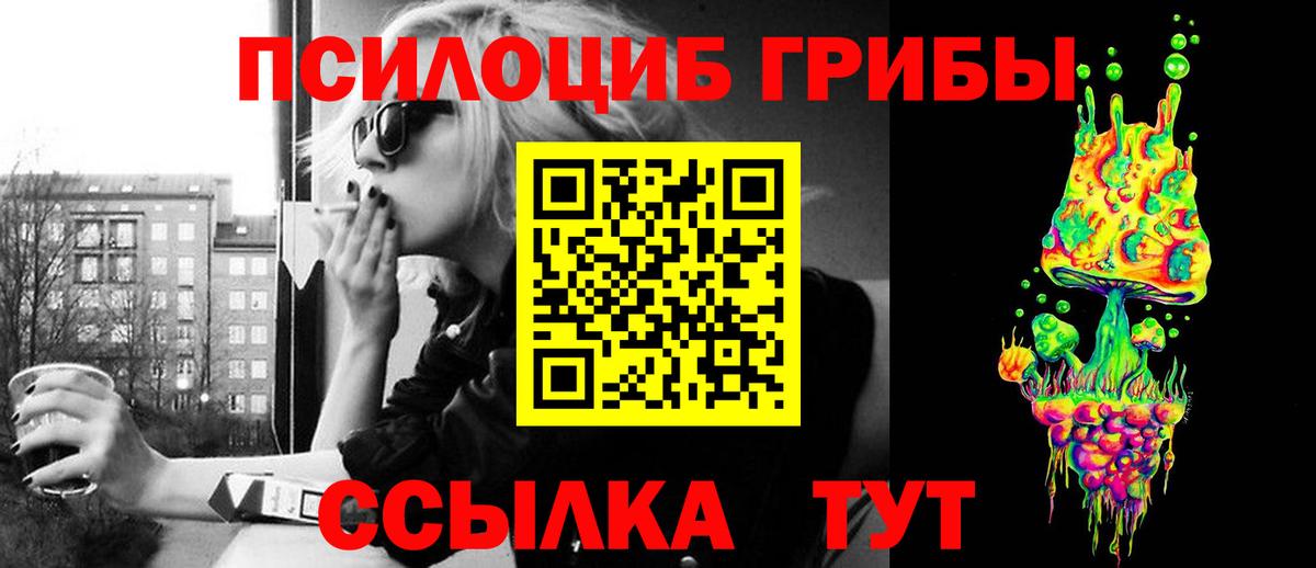 продажа наркотиков  Галлюциногенные грибы Psilocybe  Вход с VPN  Владикавказ  Псилоцибиновые грибы MAGIC MUSHROOMS 